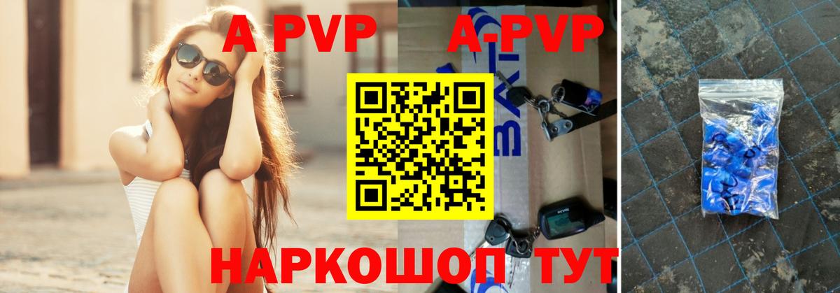 A PVP СК КРИС Саранск