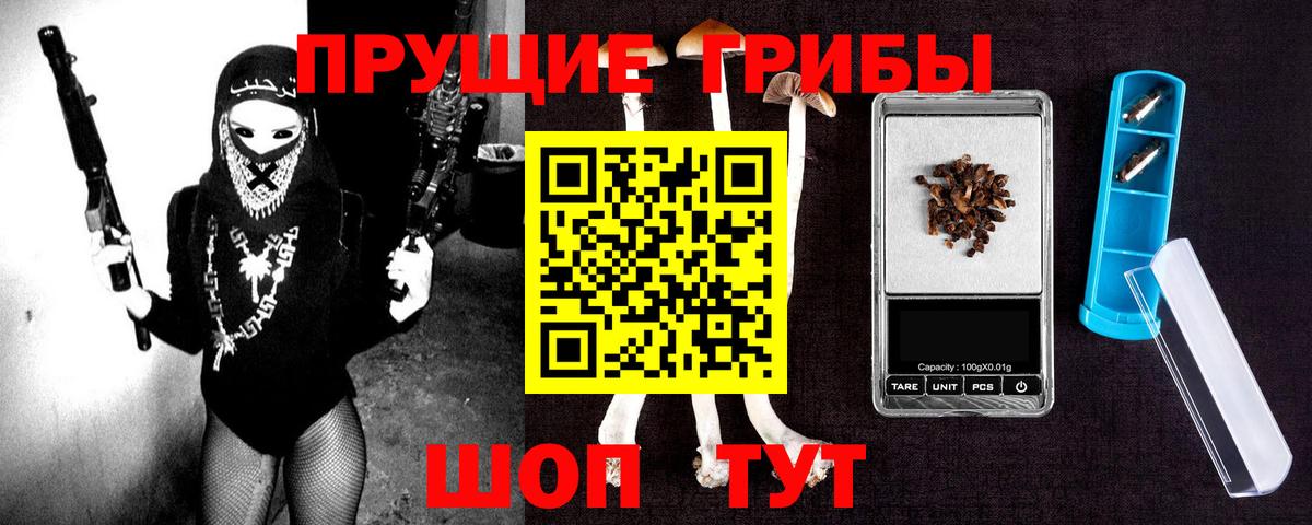 Саранск  Псилоцибиновые грибы Cubensis  Вход с VPN 