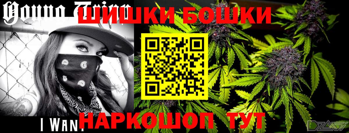 ГАШ Саранск