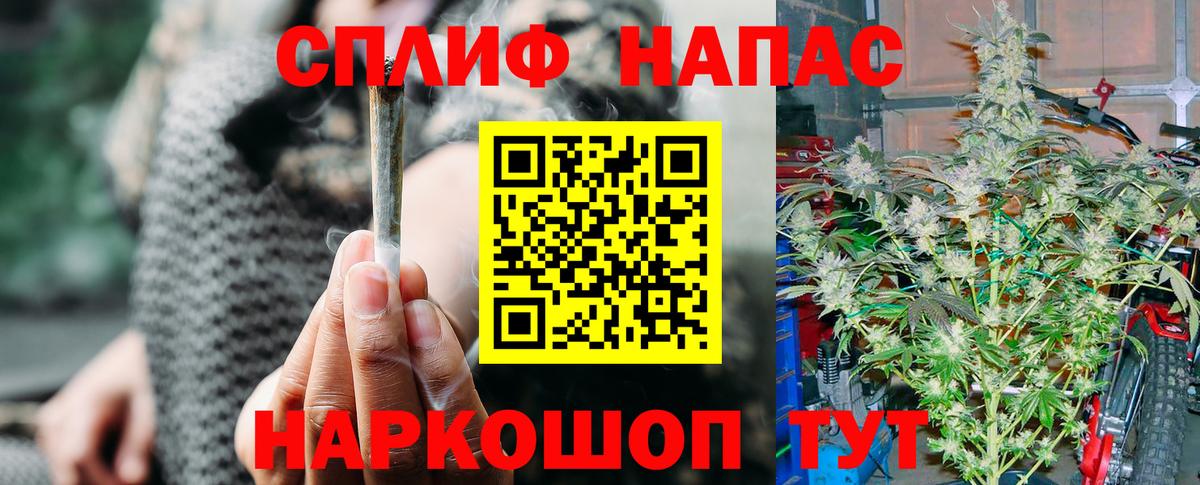 Саранск  Марихуана марихуана  Марихуана тримм  Вход с VPN  Марихуана марихуана  Бошки марихуана Ganja 